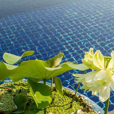 Villa Alpha - Seaview Private Villa Choeng Mon Экстерьер фото
